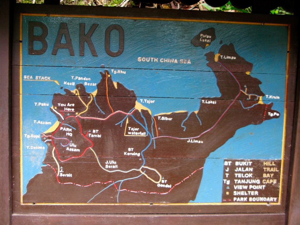Bako
