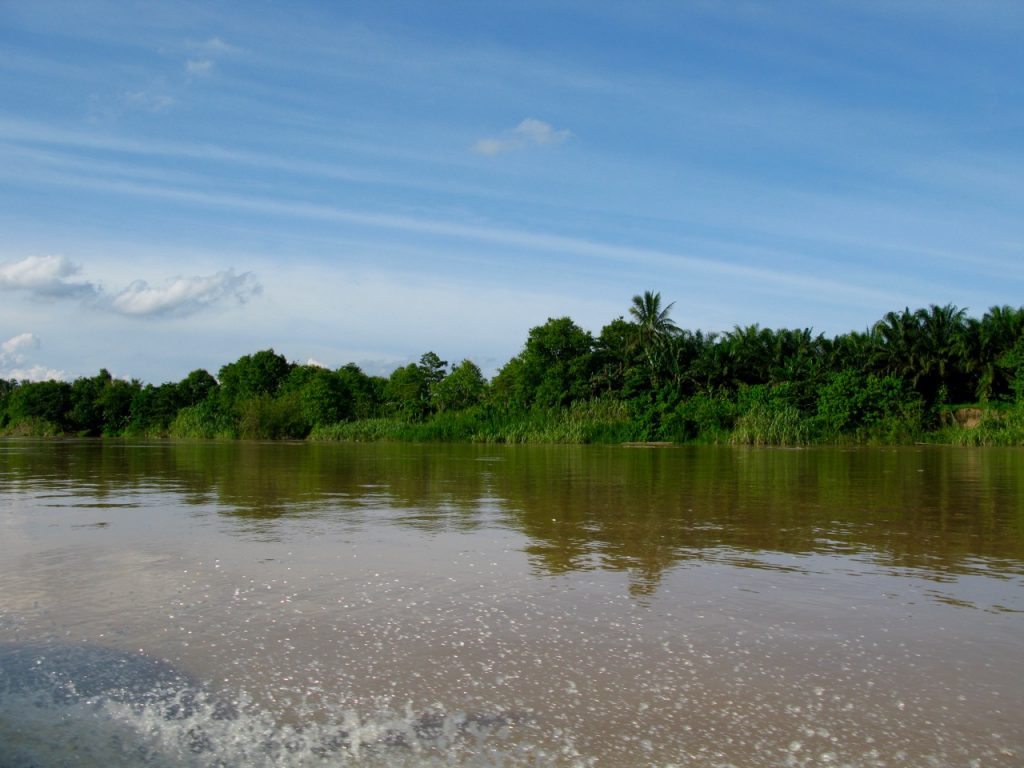 Kinabatangan
