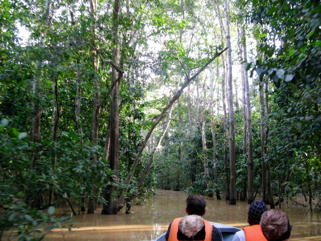 Kinabatangan