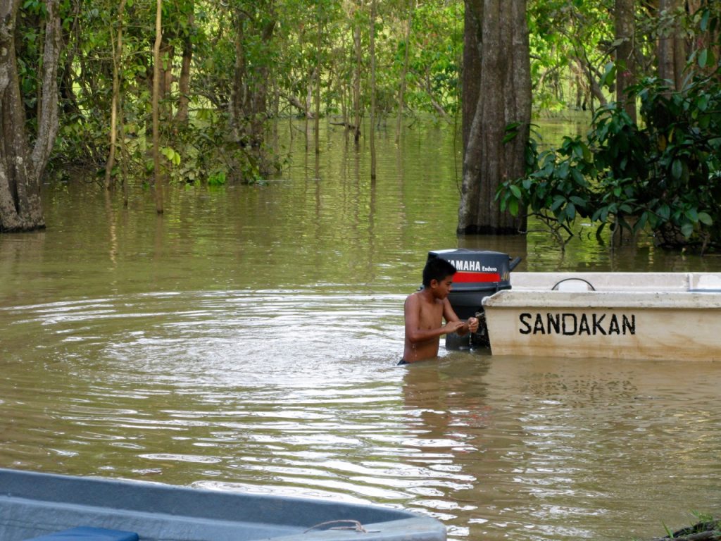Kinabatangan