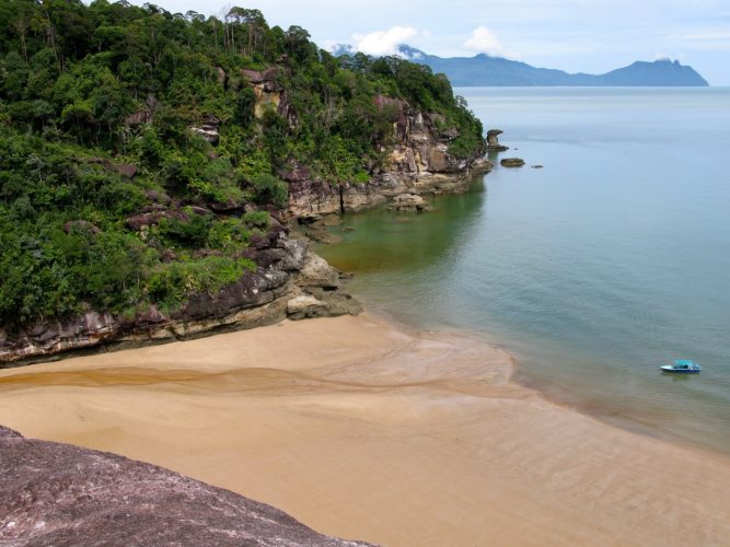 Parc national de Bako, Bornéo (Malaisie) - Jour 2