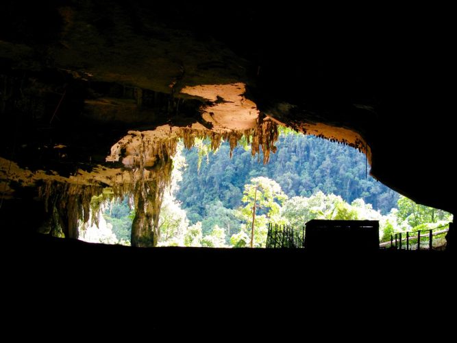 Parc national de Niah, Bornéo (Malaisie)