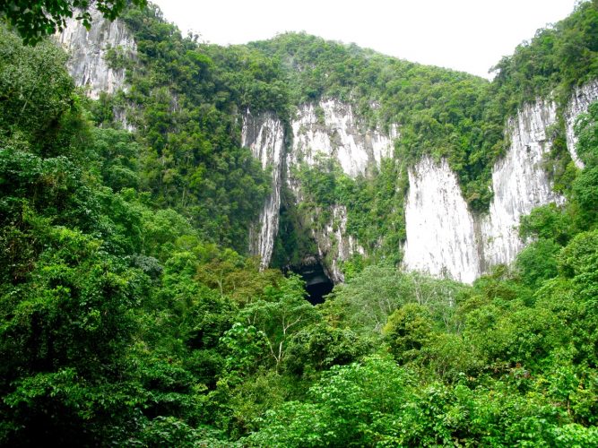 Parc national du Gunung Mulu, Bornéo (Malaisie) - Jour 1