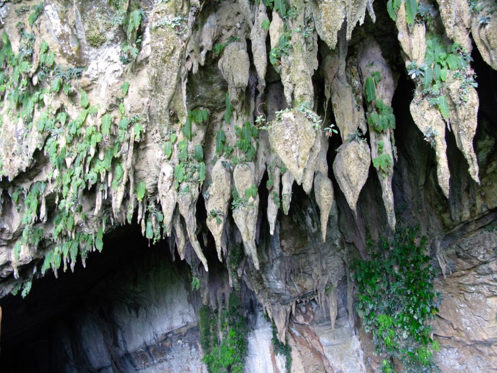 Mulu