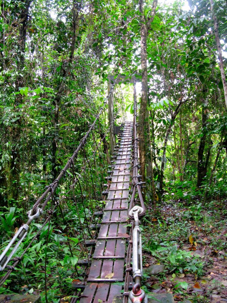 Mulu