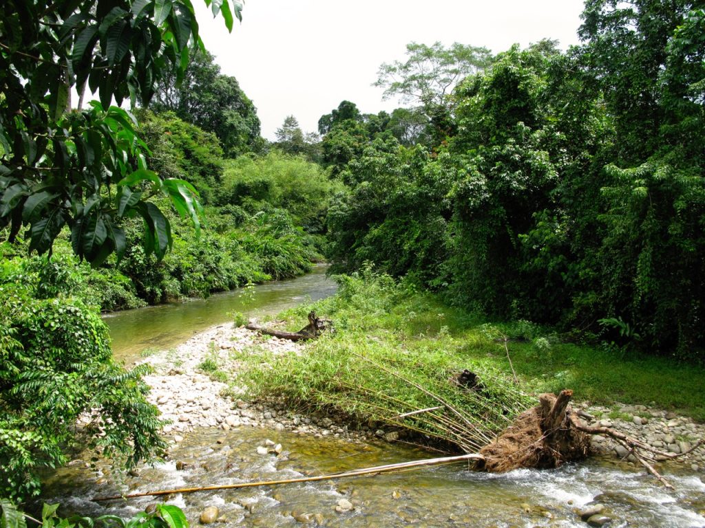 Mulu