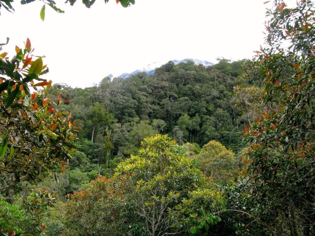 Mont Kinabalu