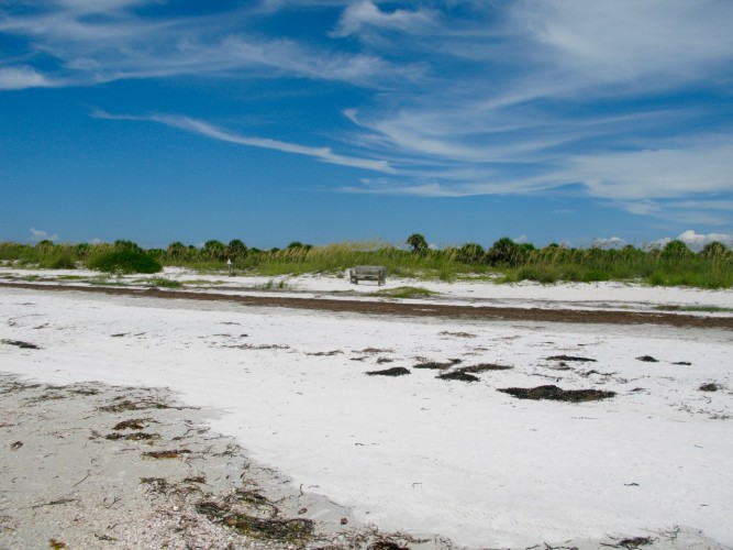 Honeymoon & Caladesi Islands State Parks, Floride (États-Unis)