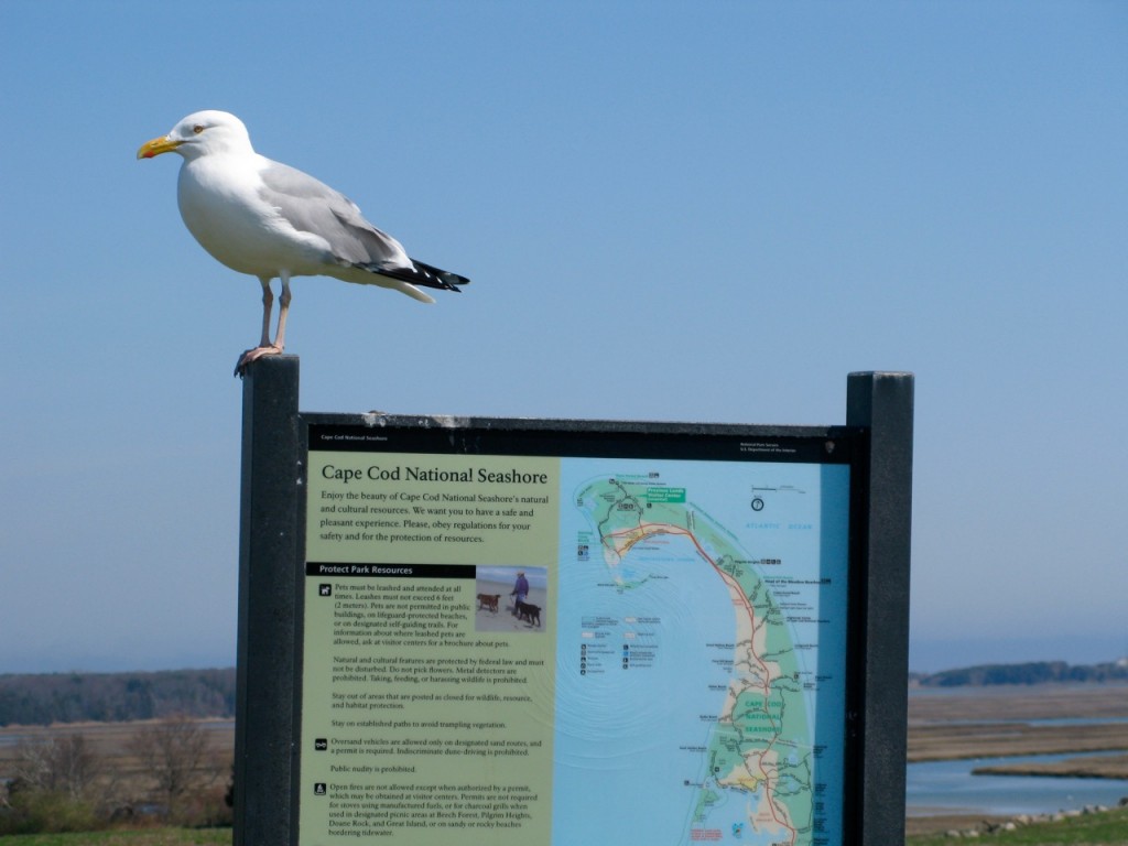 Massachusetts