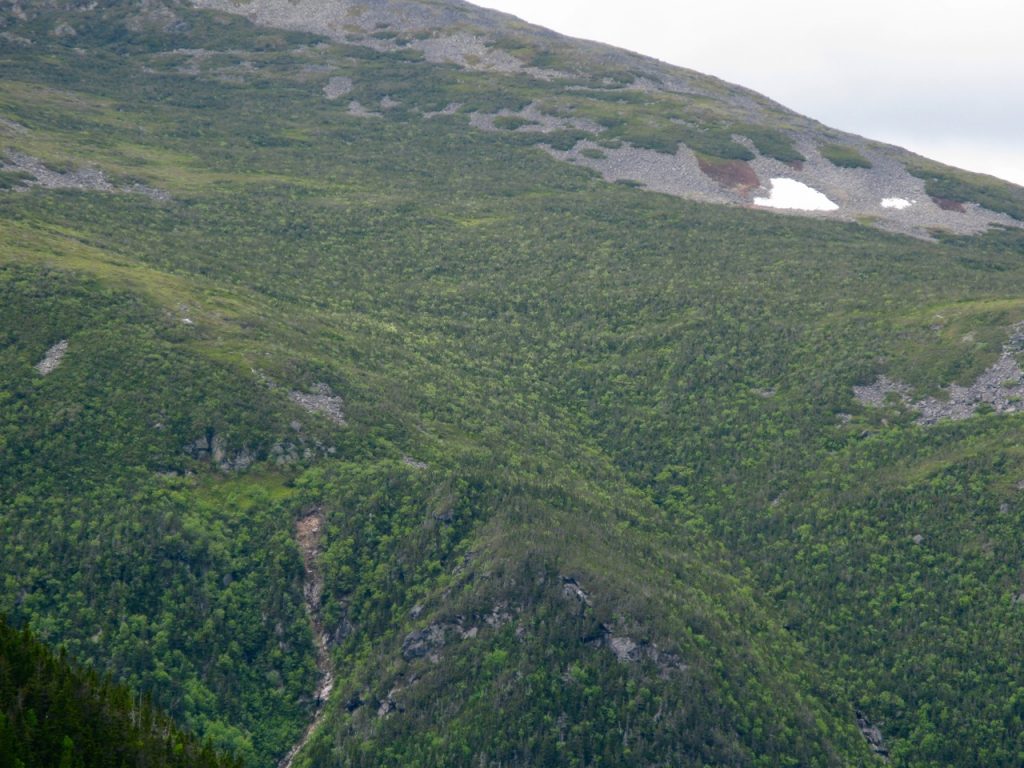 Mont Washington