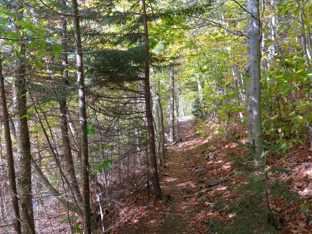 Mont Abraham