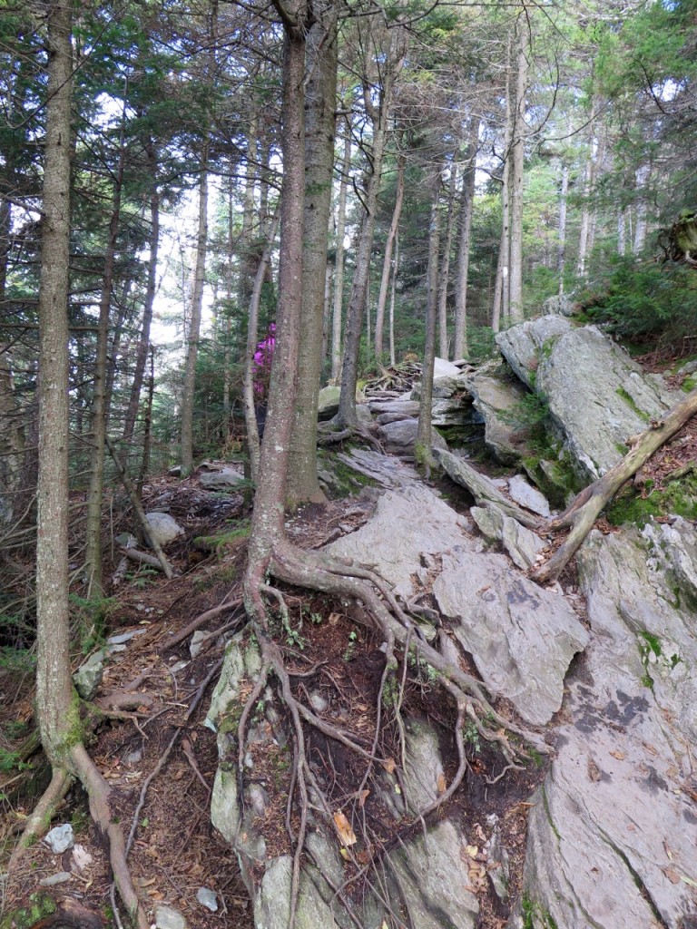 Mont Abraham