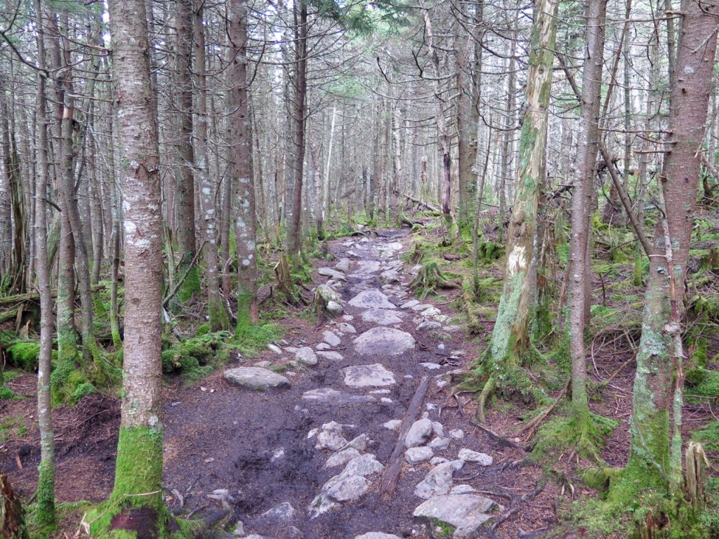Mont Abraham