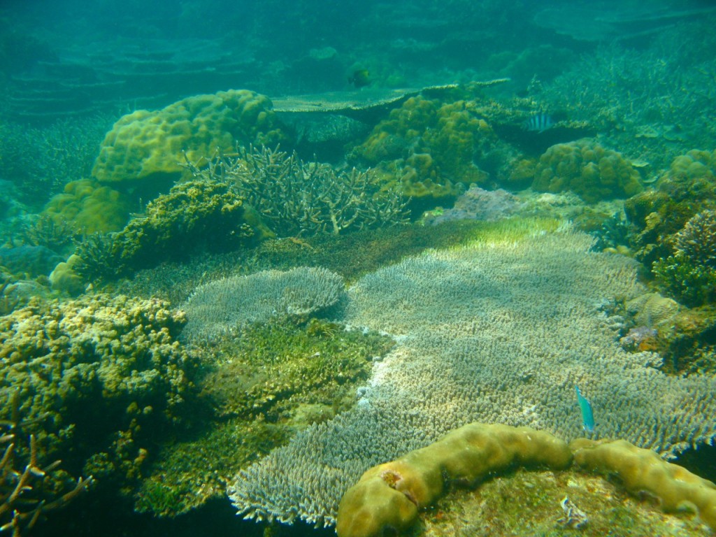 Palawan