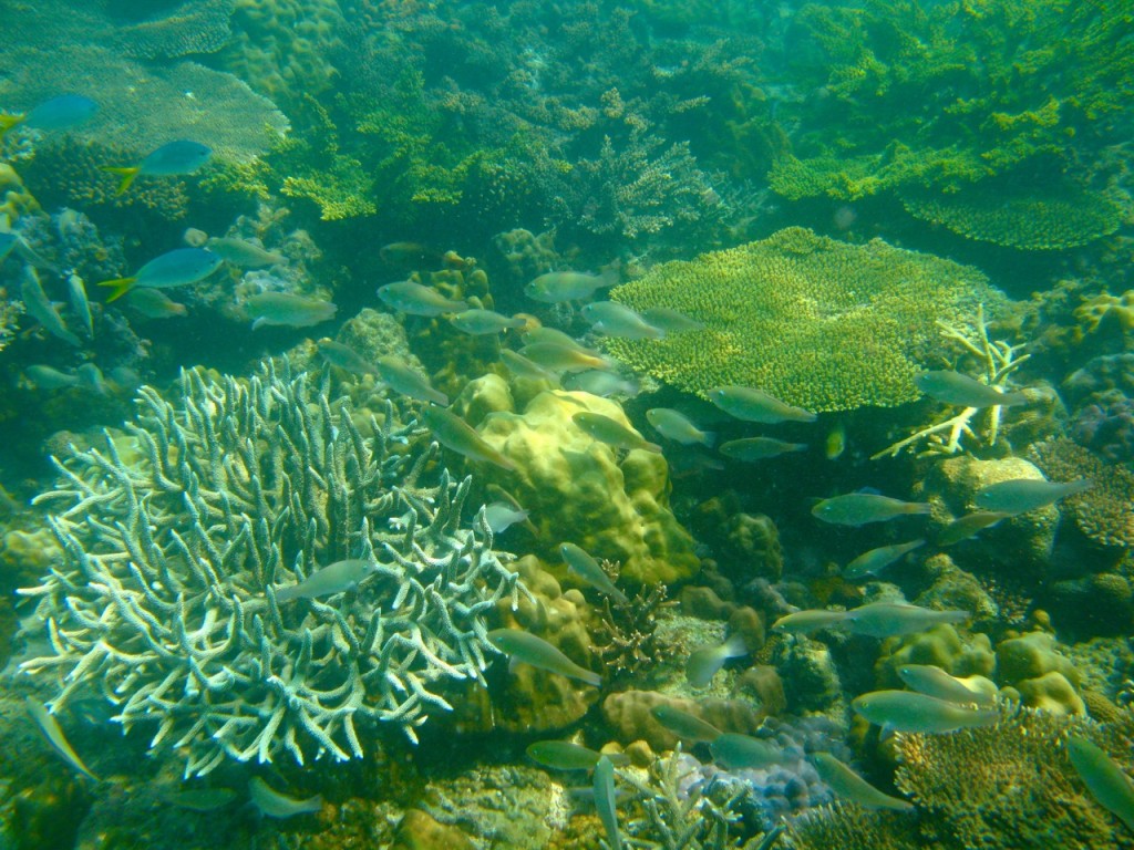 Palawan