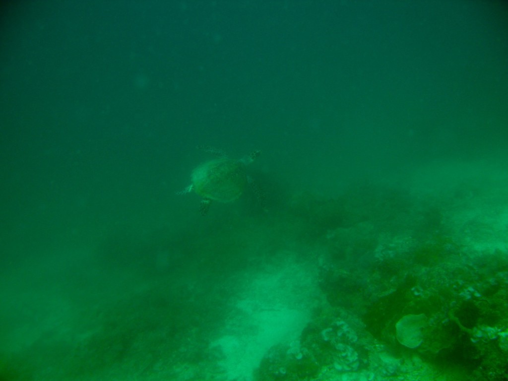 Palawan