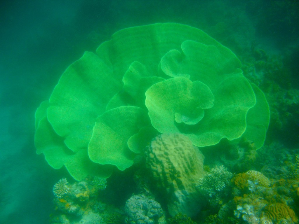 Palawan