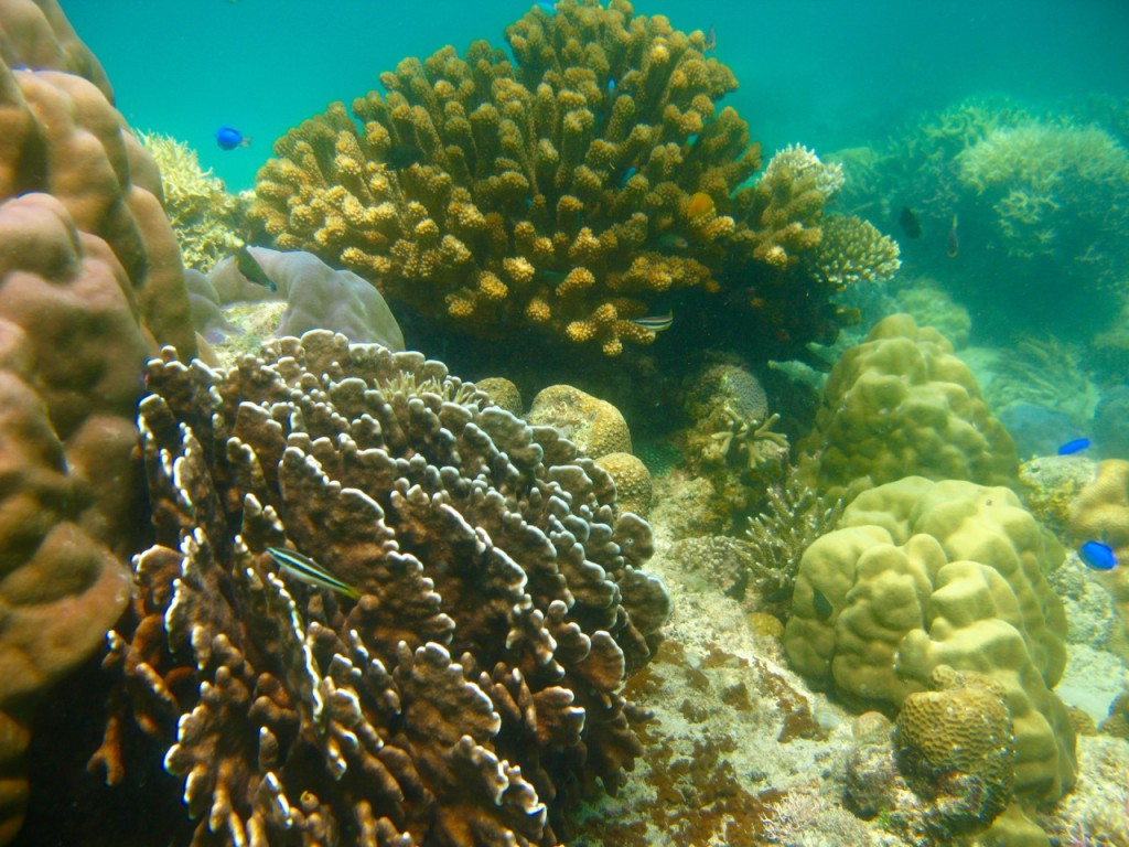 Palawan