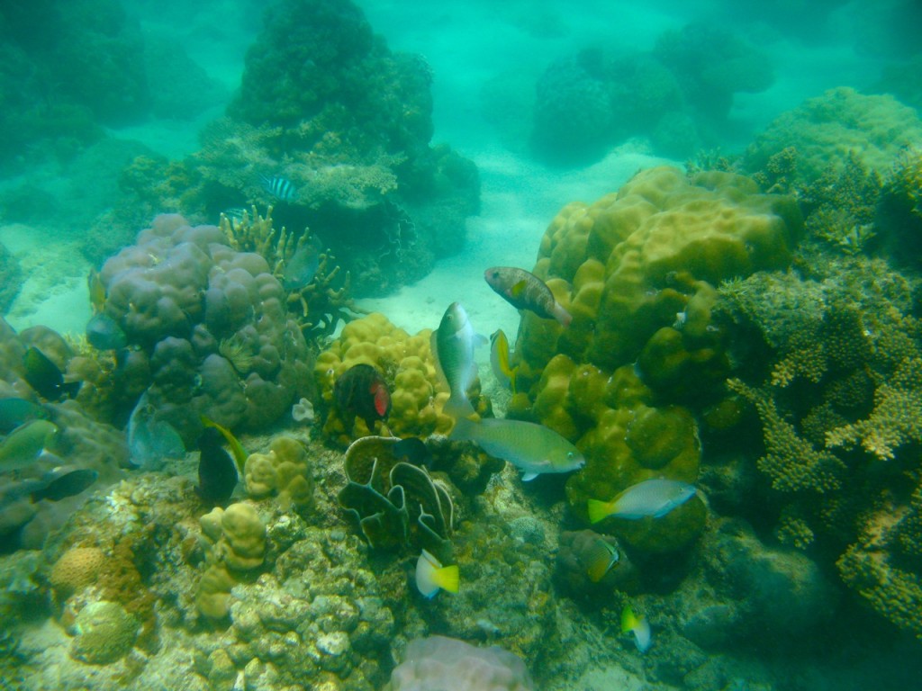 Palawan