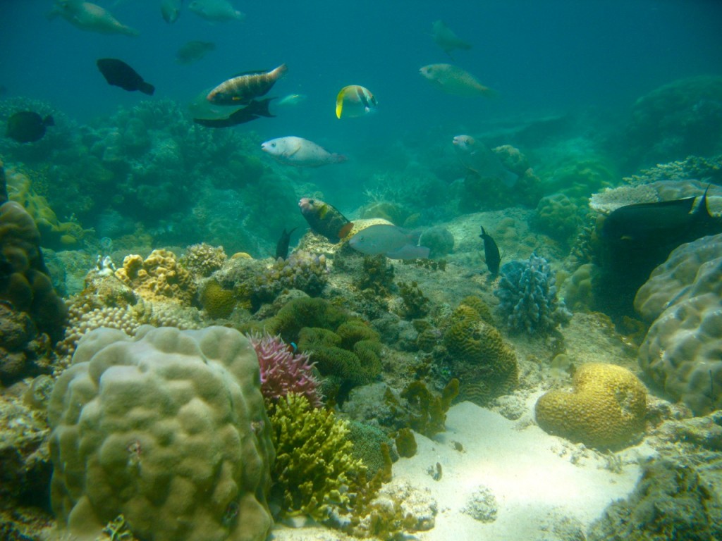 Palawan