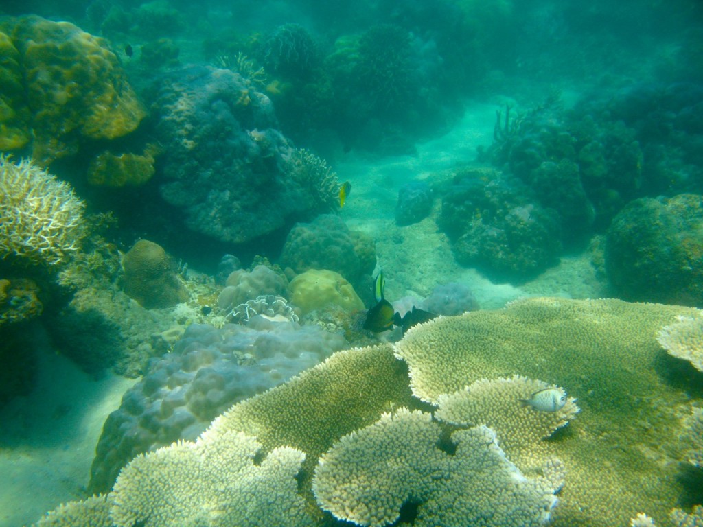 Palawan