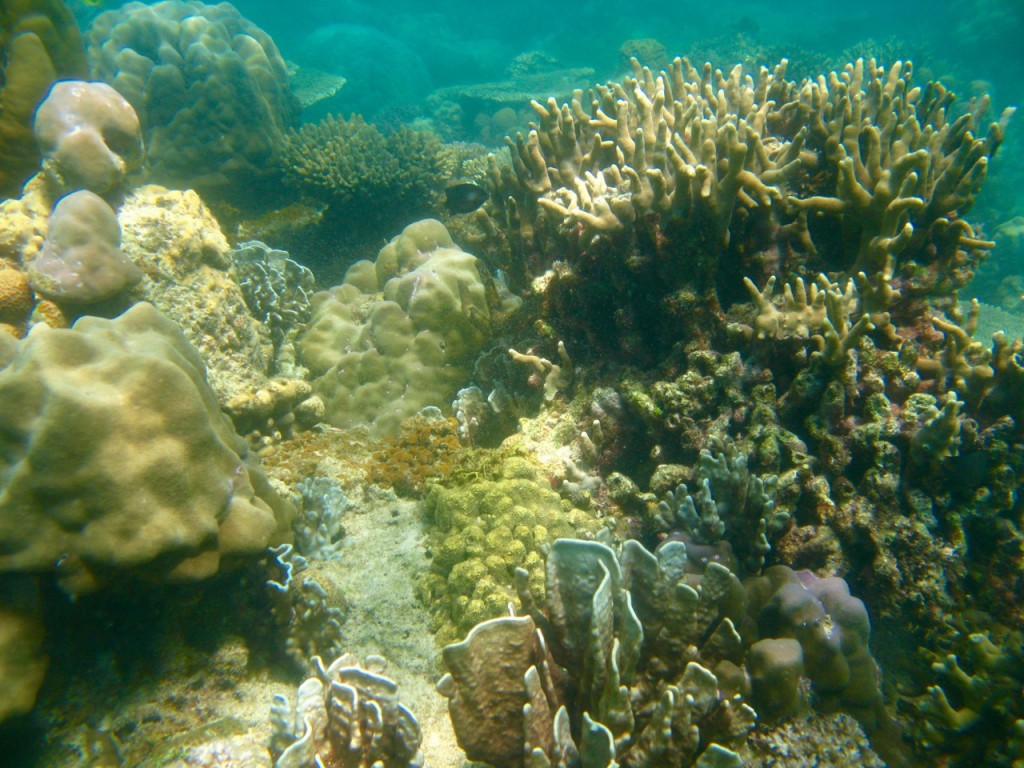 Palawan