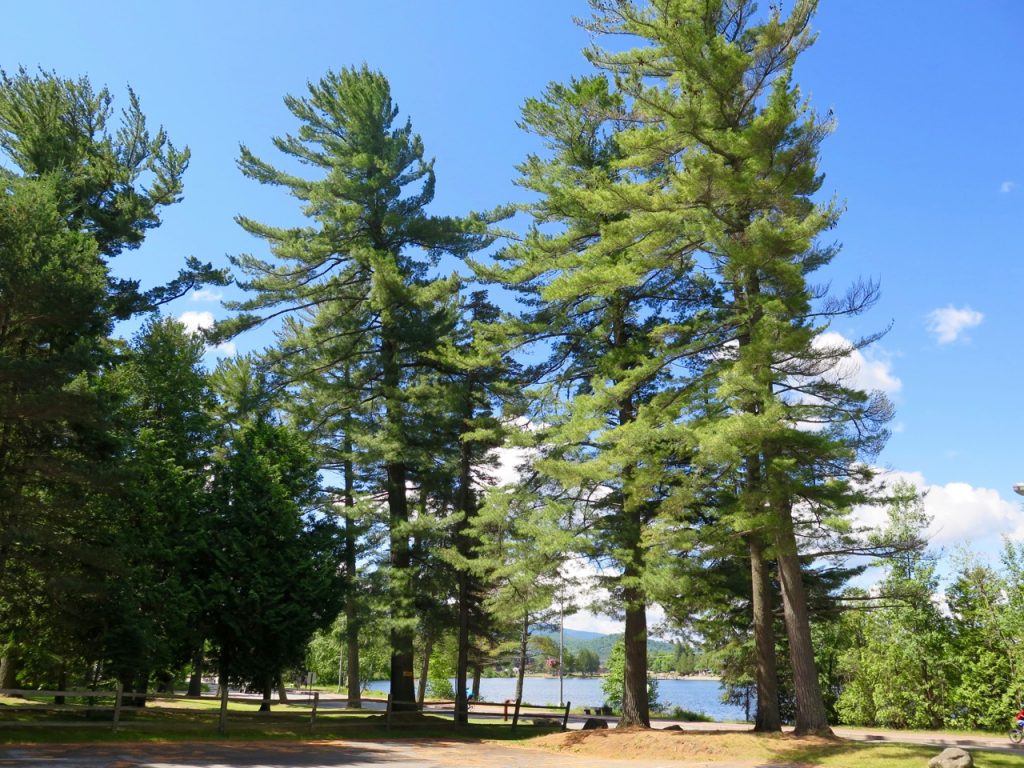 Lake Placid