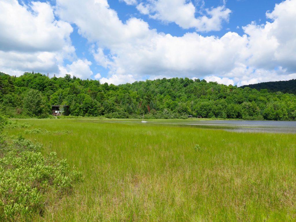 Connery Pond