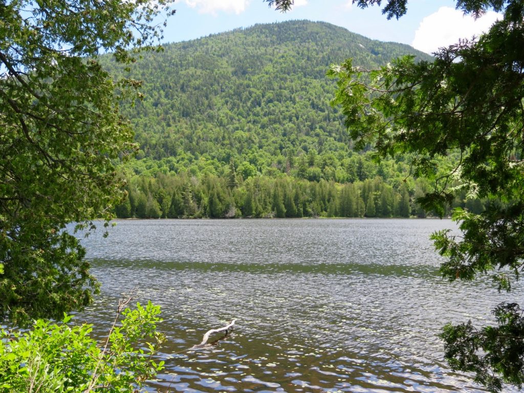 Owen Pond