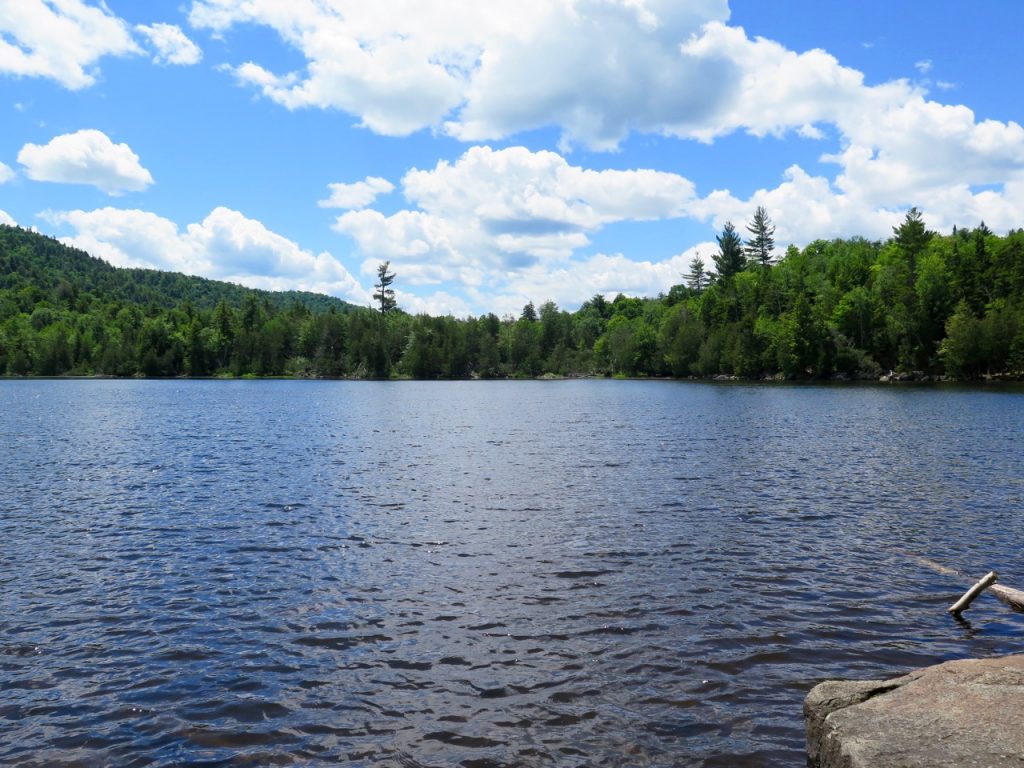 Owen Pond