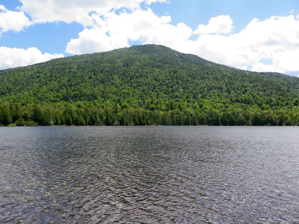 Owen Pond