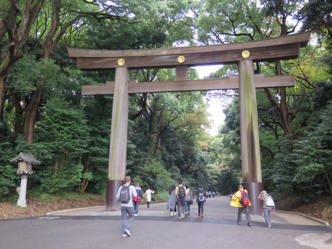Le parc Yoyogi, Shibuya, Tokyo (Japon)