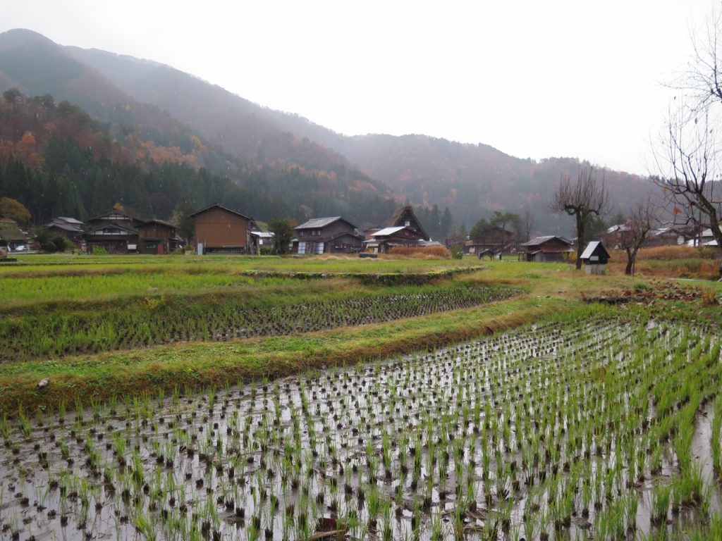 Shirakawa-go