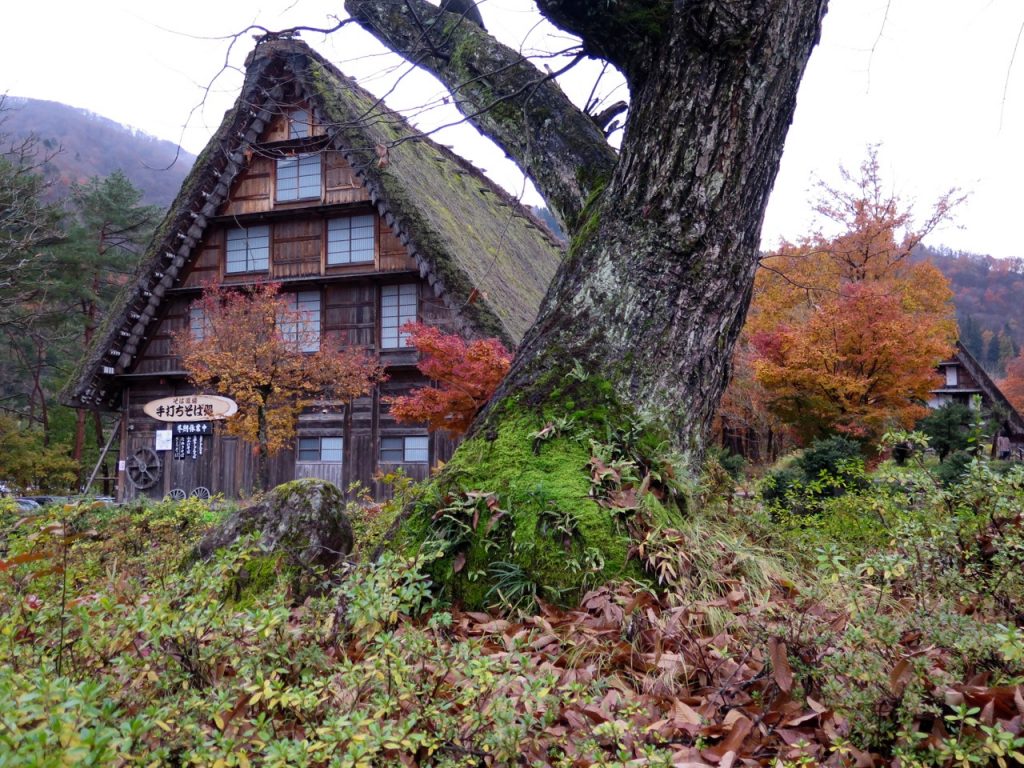 Shirakawa-go