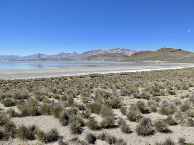 La réserve nationale Salinas y Aguada Blanca (Pérou)