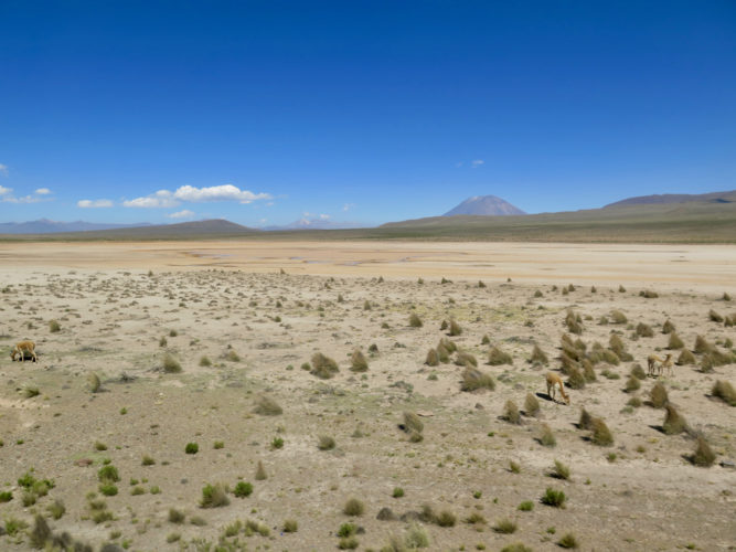 D'Arequipa à Cabanaconde (Pérou)