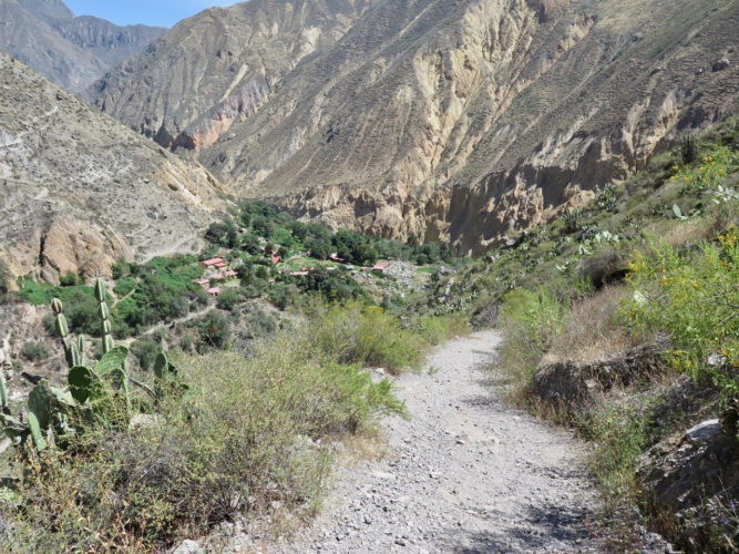 Le canyon du Colca : de Llahuar à l'oasis de Sangalle (Pérou)