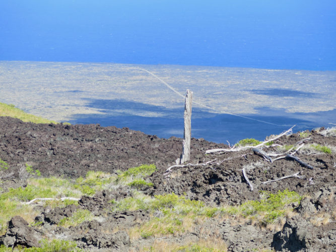 Hawaï Volcanoes National Park, Big Island, Hawaï (États-Unis) – 2e partie